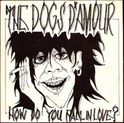Dogs D'Amour : How Do You Fall in Love?